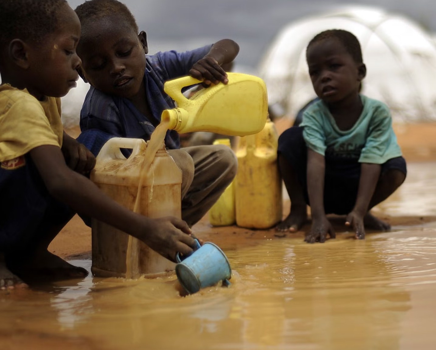 Children collecting muddy water into plastic jerrycans